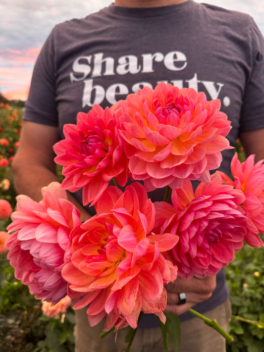 Wildwood Marie Dahlias