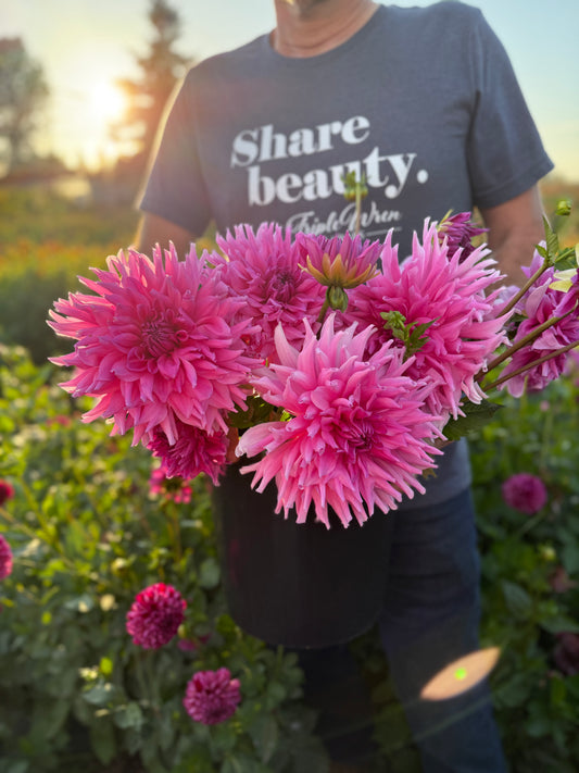 Wyn's Serenity Dahlia Tuber