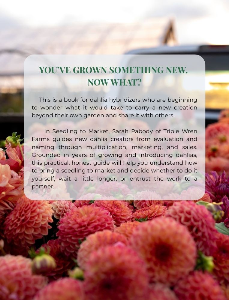 Coming September: Seedling to Market: A Guide for New Dahlia Creators (eBook)