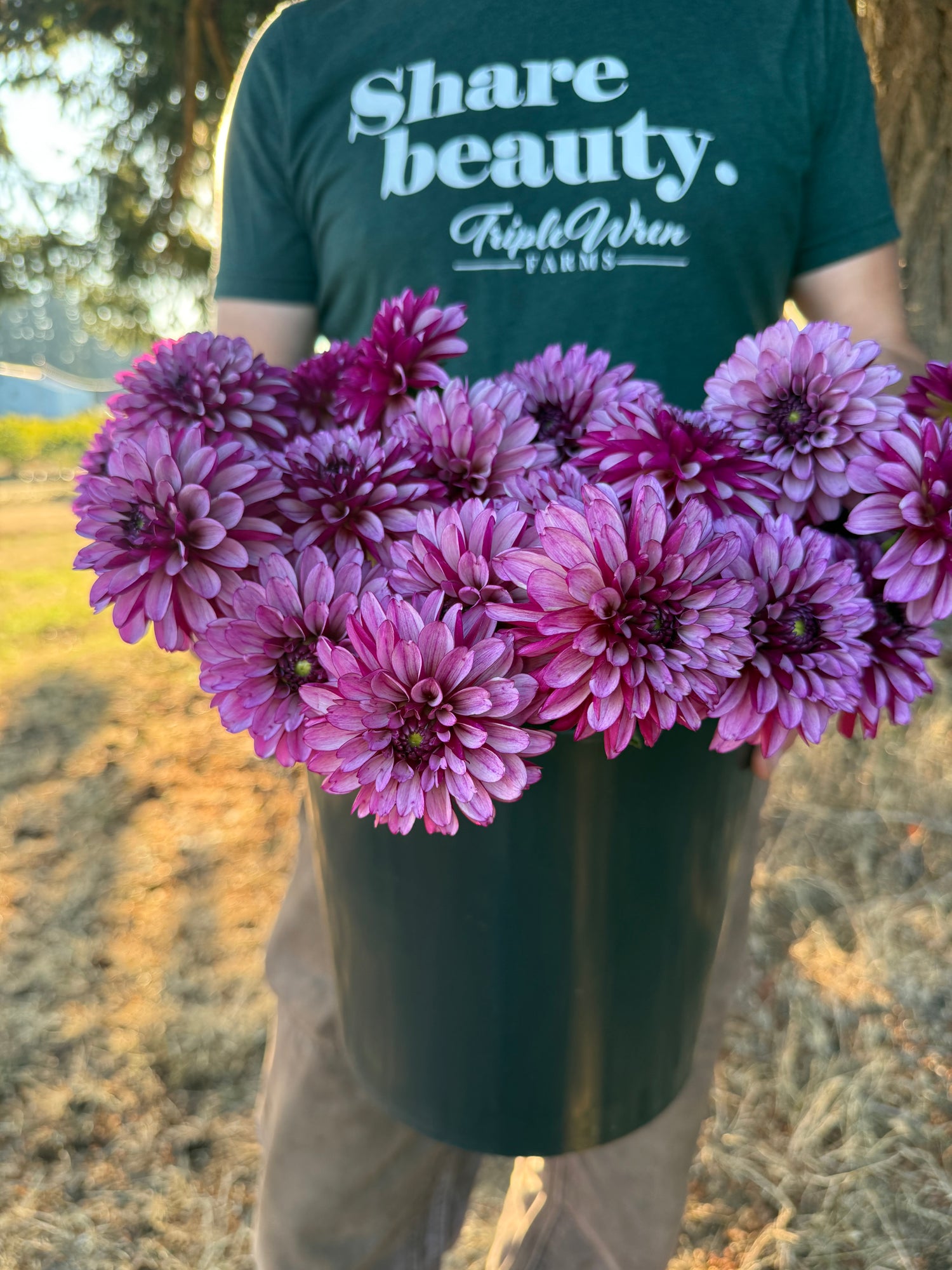 A person outdoors holding a large black bucket filled with blooming purple and pink dahlia flowers. The person is wearing a dark green t-shirt with the white printed text 'Share beauty.
