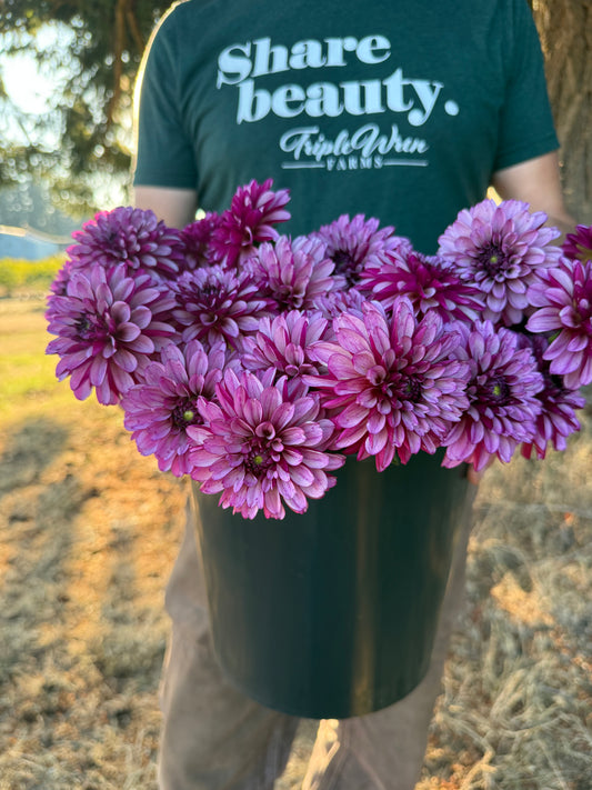 A person outdoors holding a large black bucket filled with blooming purple and pink dahlia flowers. The person is wearing a dark green t-shirt with the white printed text 'Share beauty.