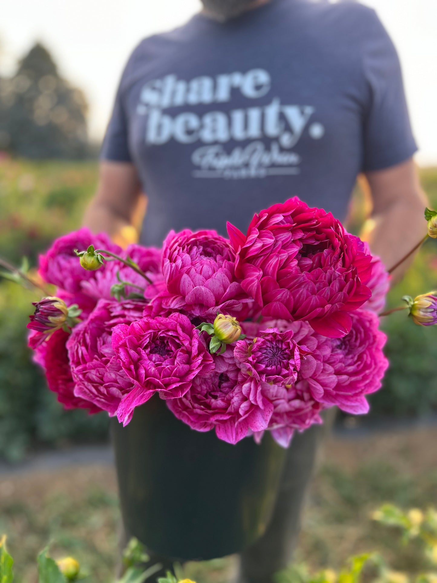 Sandia Cancan Dahlia Buy from Triple Wren Farms