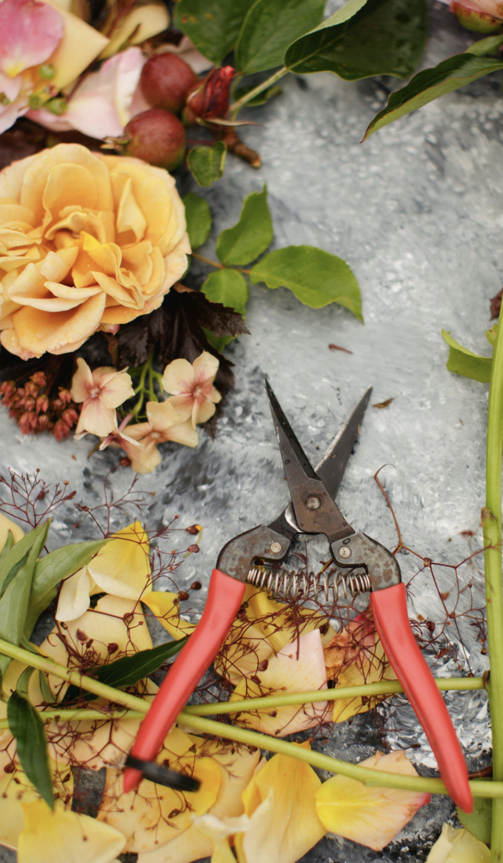 Fiskars Comfort Grip Floral Snips - DripWorks