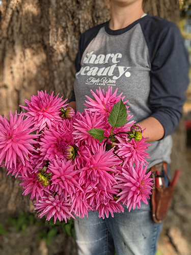  buy Bloomquist Laura dahlia tubers from Triple Wren Farms for your home garden