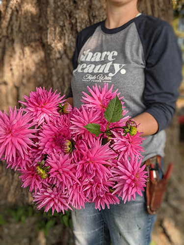 buy Bloomquist Laura dahlia tubers from Triple Wren Farms for your home garden