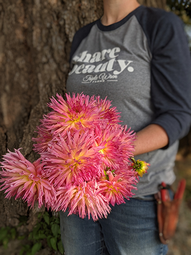 buy Bloomquist Mildred S dahlia tubers from Triple Wren Farms for your home garden