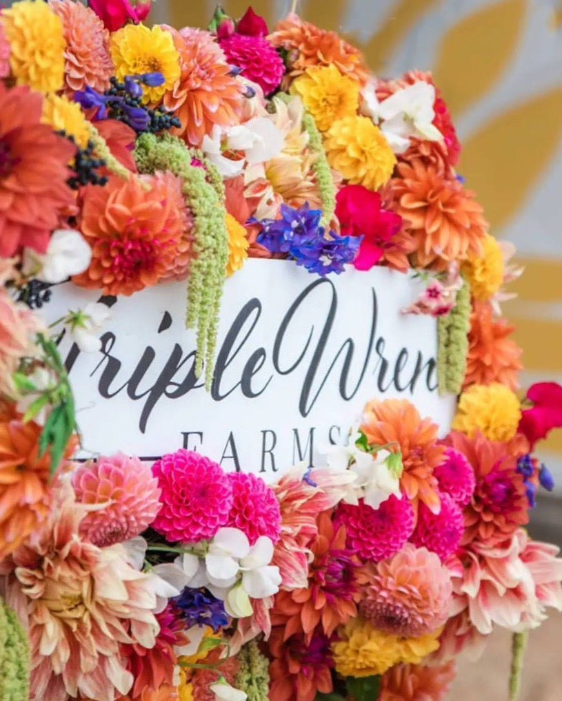 From Seedling to Market: A Workshop for New Dahlia Creators