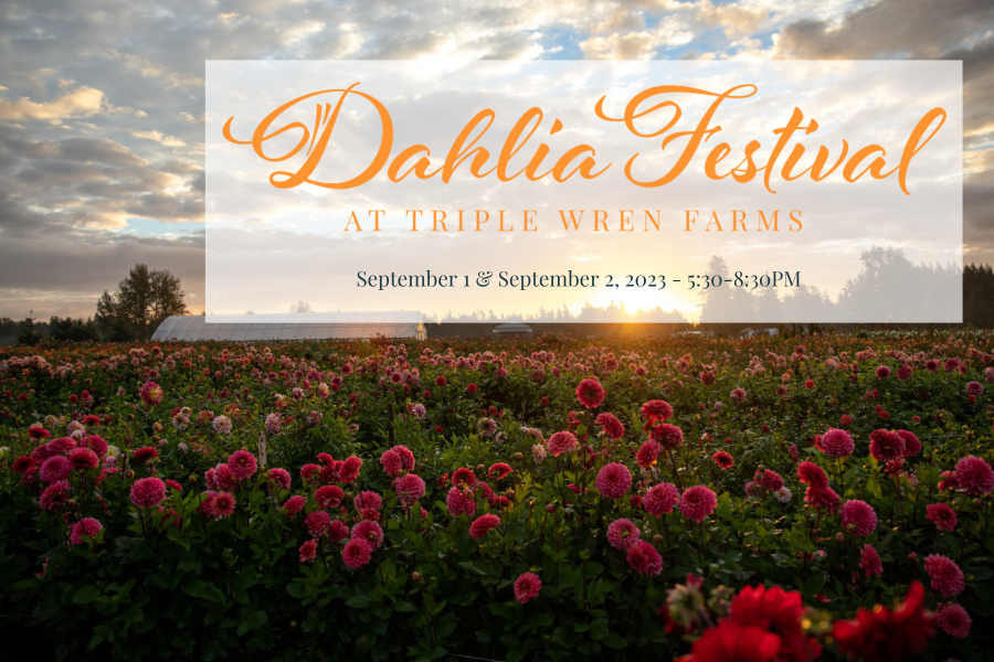 Admission to Dahlia Festival 2023