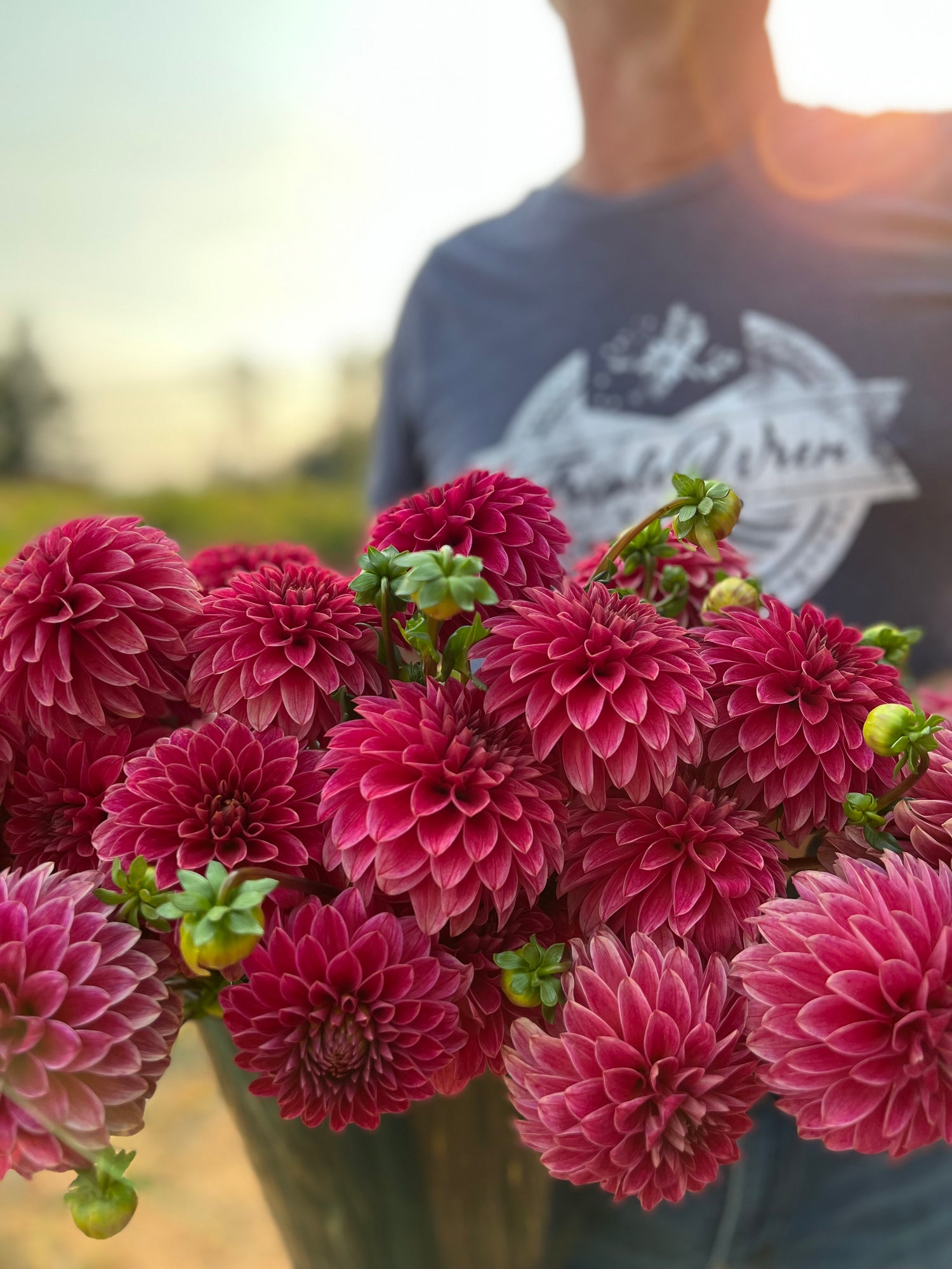 KA's Rosie Jo Dahlia Tubers from Triple Wren Farms