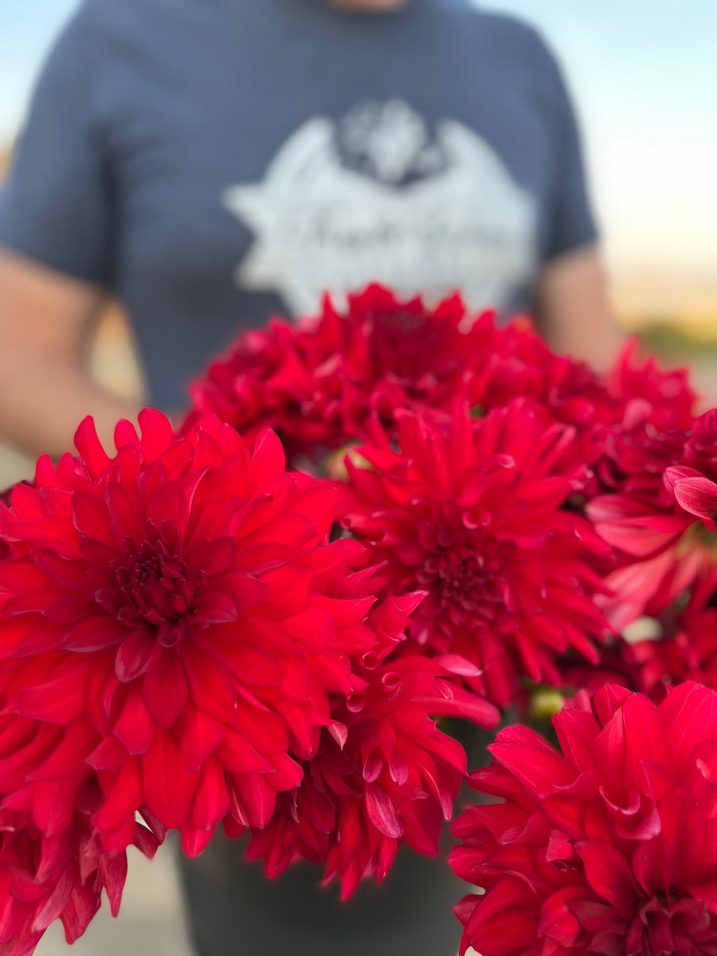 Bloomquist Compelling Dahlia Tuber