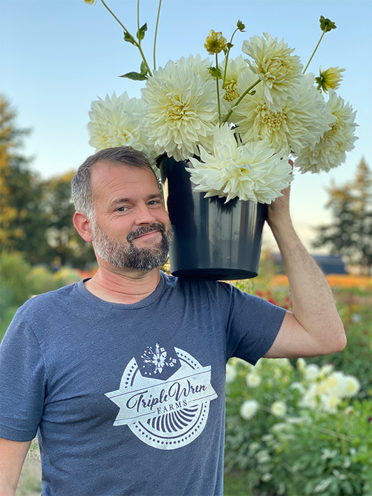 White Perfection Dahlia Tubers